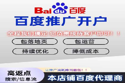百度竞价公司案例分析：提升转化率的策略